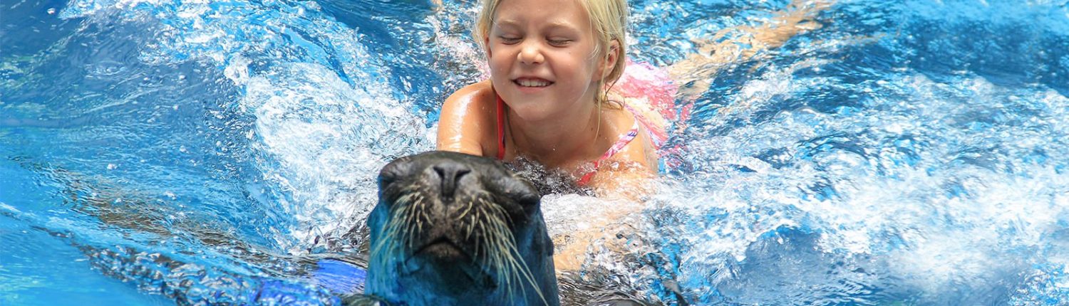 Young girl swimming with sea lion in Riviera Nayarit Mexico
