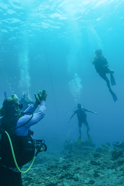 Four scuba divers on the sea floor