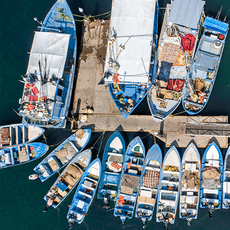 Line of boats moored at the marina in La Crus de Huanacaxtle in Riviera Nayarit