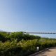 Greg Norman Golf Course foot bridge - Riviera Nayarit Mexico