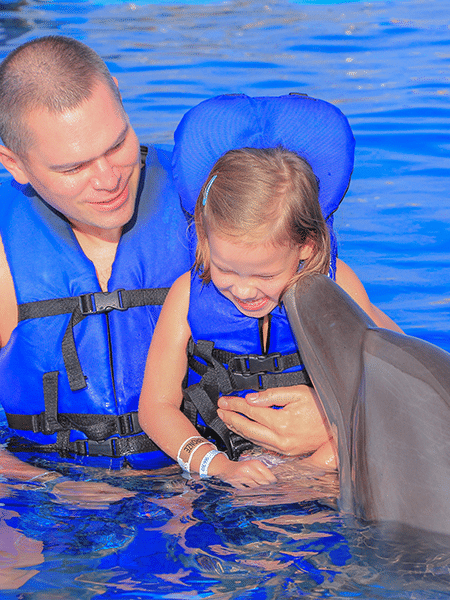 Father and child swimming with dolphins