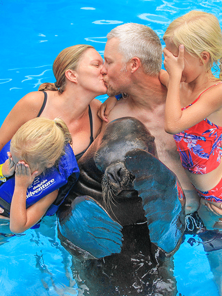 Two children and sea lion covering their eyes as parents kiss