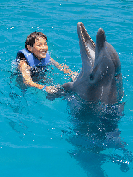 Young boy dancing with a dolphin