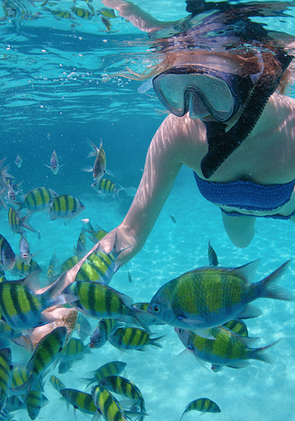 Snorkeling with colourful fish off Islas Marietas in Riviera Nayarit