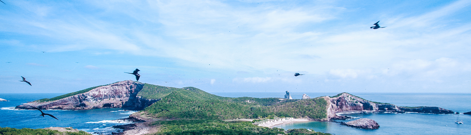 Birds flying over Isla Isabel in Riviera Nayarit