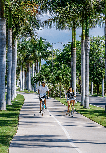 Two people bike riding past rows of palm trees in Flamingos Riviera Nayarit